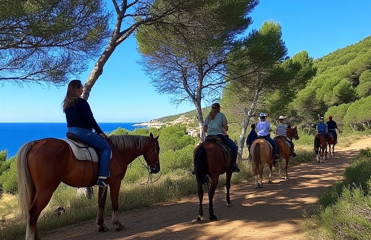 Horseback Riding Excursions in Mallorca | Horseback Riding Tours for Groups and Families in Mallorca